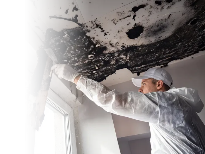 Galaverna Srl - un operatore sta facendo un sopralluogo per capire l'entità del danno causato dall'incendio