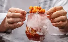 GALAVERNA SRL - Utilizzo del ghiaccio secco alimentare nel settore Food & Beverage