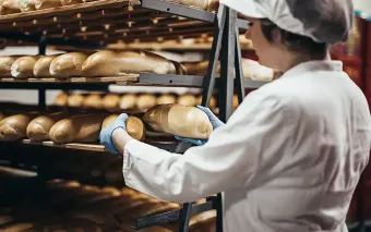 GALAVERNA SRL - Utilizzo del ghiaccio secco e della neve carbonica nel settore della panificazione degli  impasti