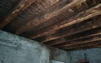 Galaverna Srl - Pulizia criogenica con ghiaccio secco per la bonifica post incendio