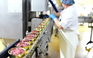 GALAVERNA SRL - Utilizzo del ghiaccio secco e della neve carbonica nel settore della lavorazione della carne